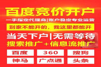SEM代运营机构案例分析：优化策略详解